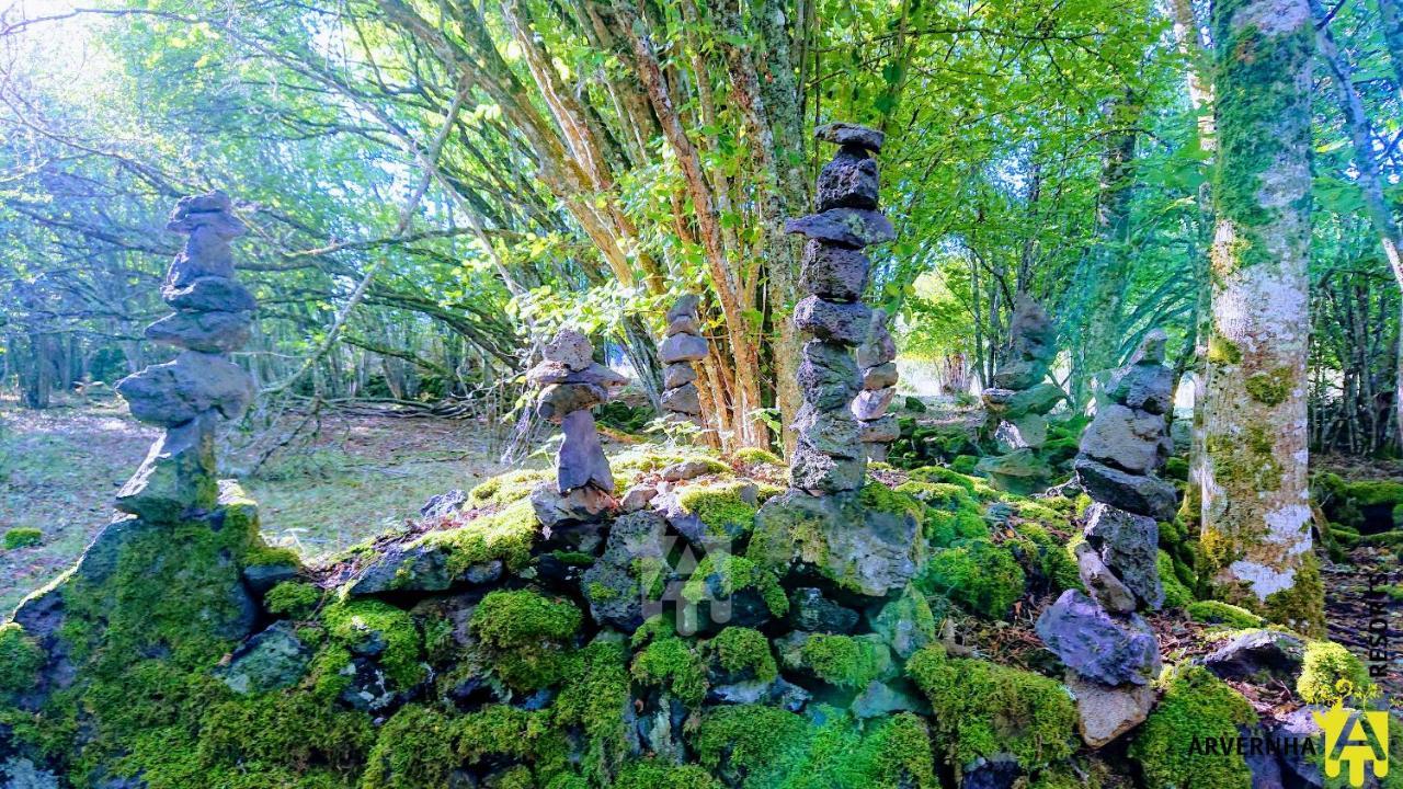 Gite Des Pierres Bleues Saint-Genès-Champanelle Kültér fotó